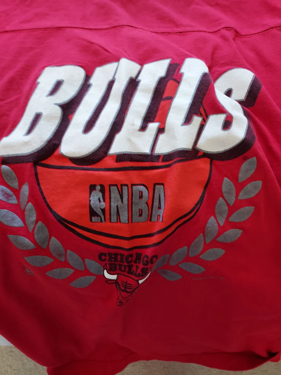 1992 Chicago Bulls Champion T Shirt - photo 2