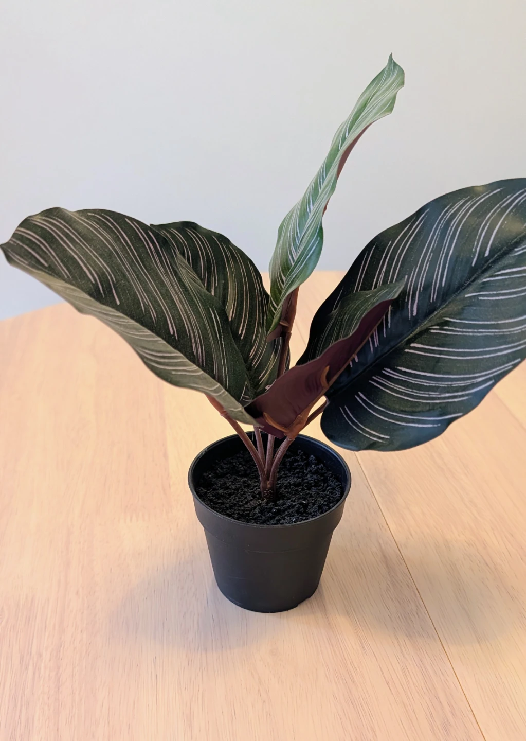 Brand New Artificial Calathea Pinstripe Plant - photo 2