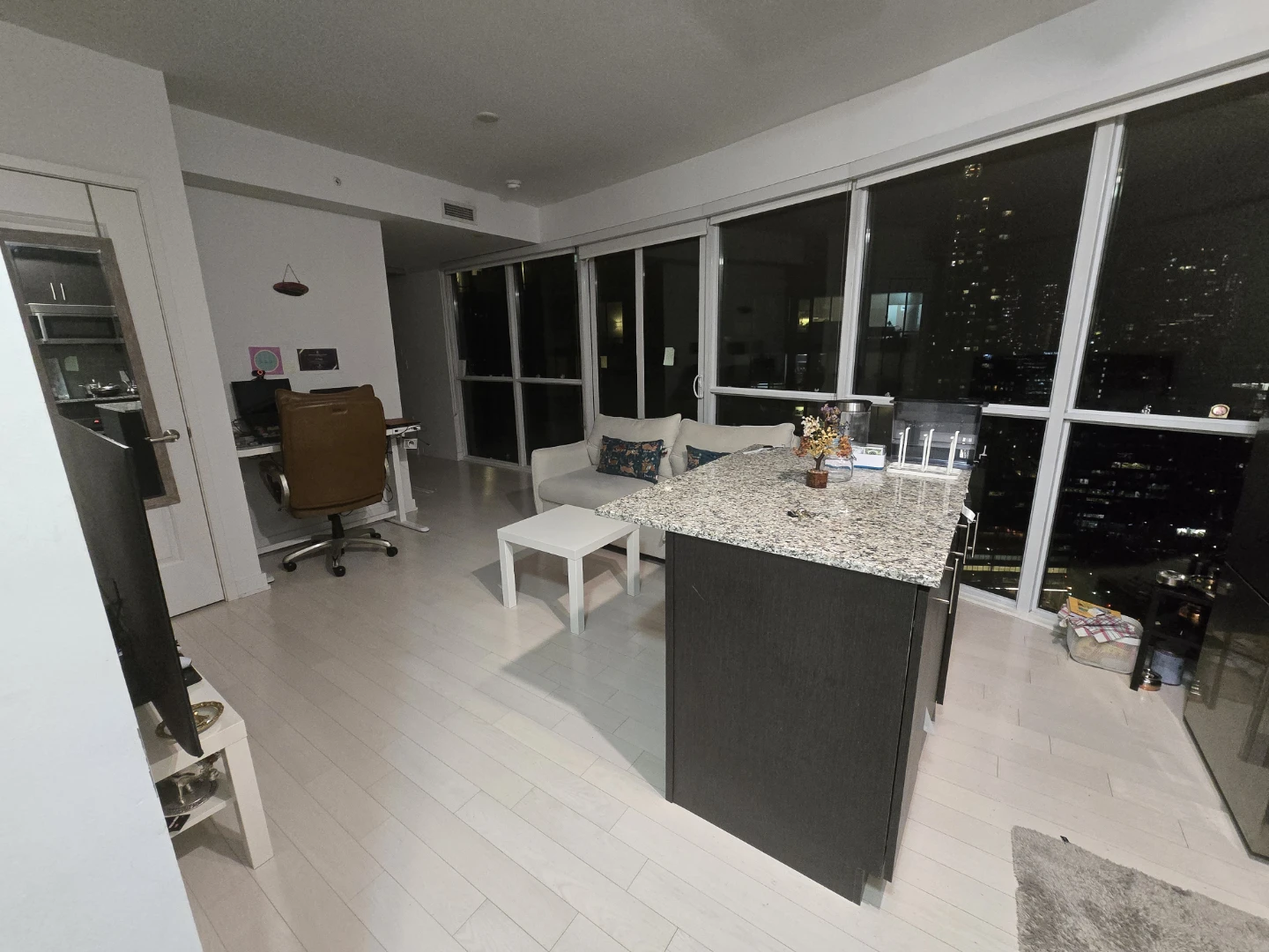 1 Bed 1 Bath condo - photo 3