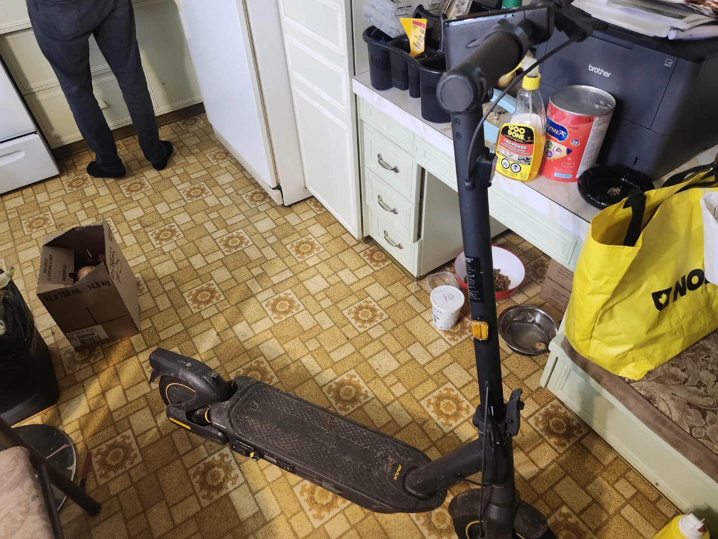 Ninebot Segway KickScooter MAX