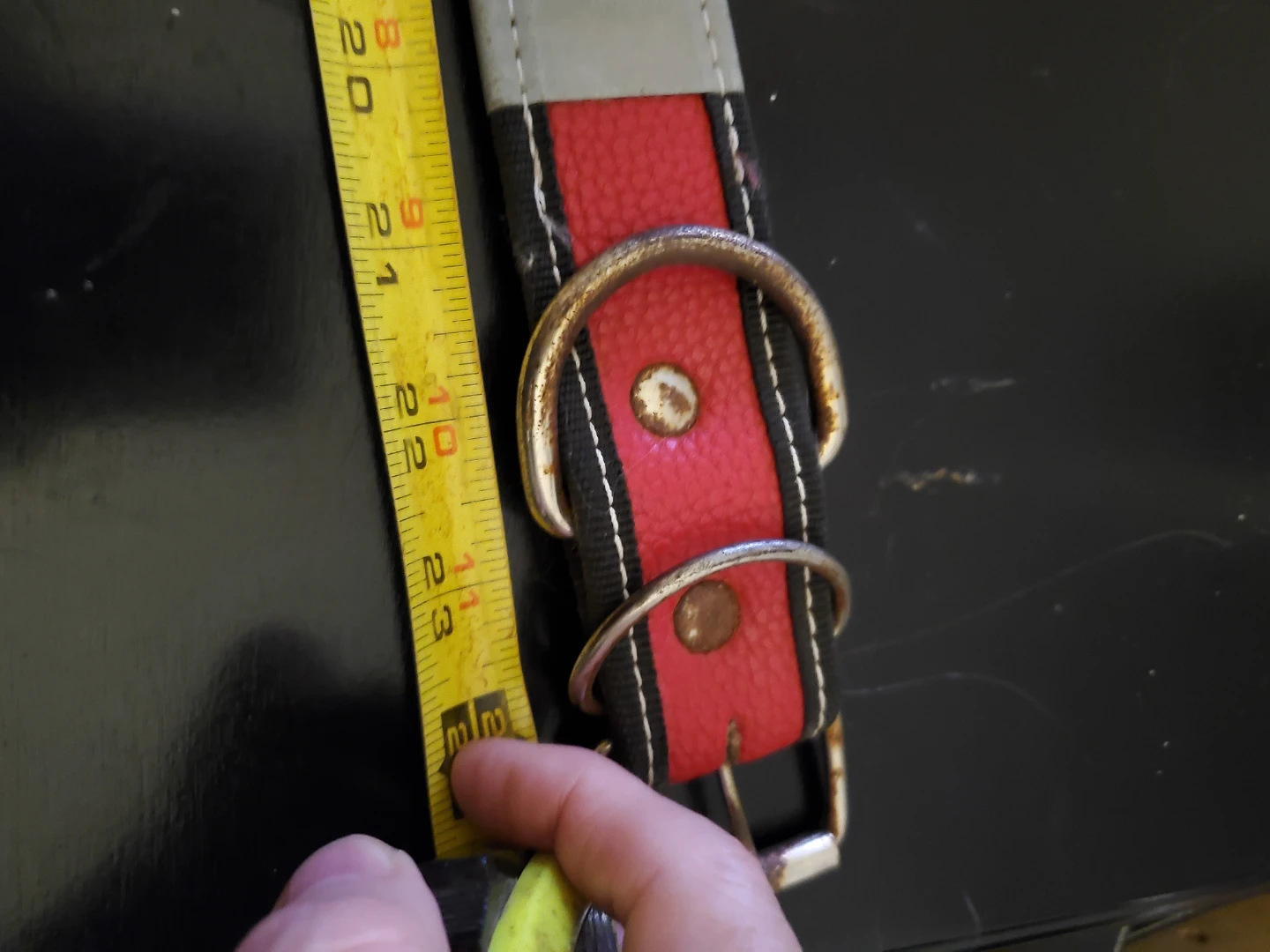 Dog collar with red and patterned design - photo 2