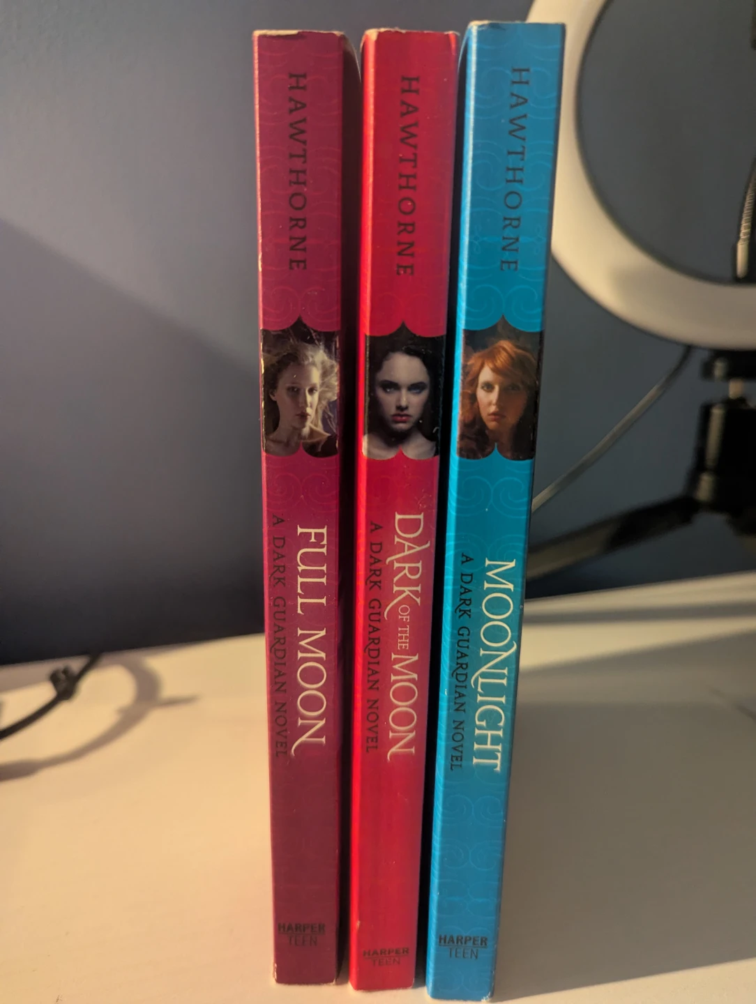 Dark Guardian Novel Series by Rachel Hawthorne (3 Books) - photo 3