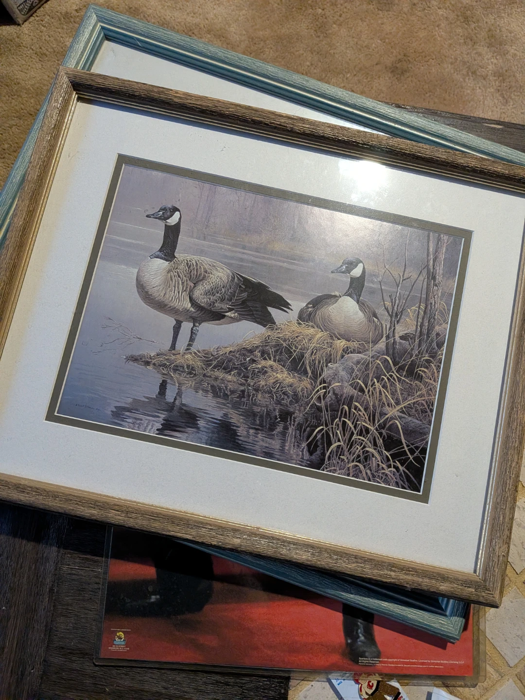Framed Robert Bateman Canada Goose Prints ( older)