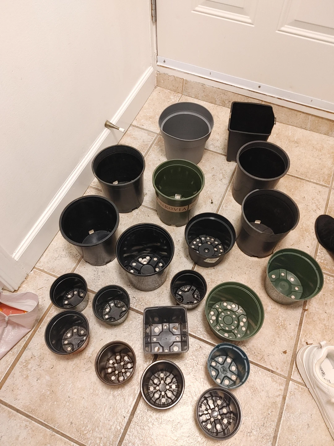 20pcs small flower pots all for $5 - photo 2