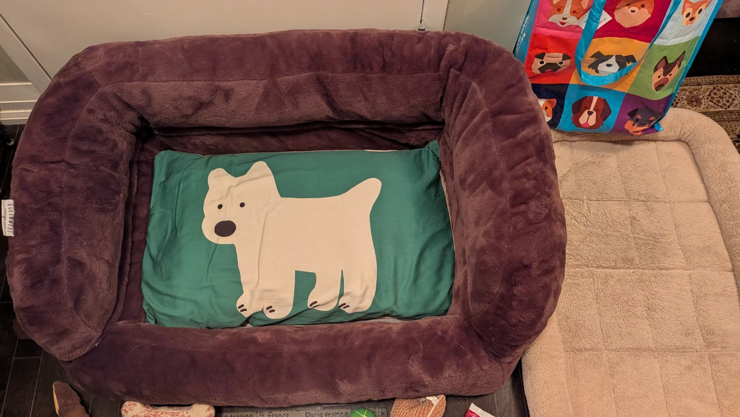 Dog Bed and Puppy Supplies Bundle - photo 2