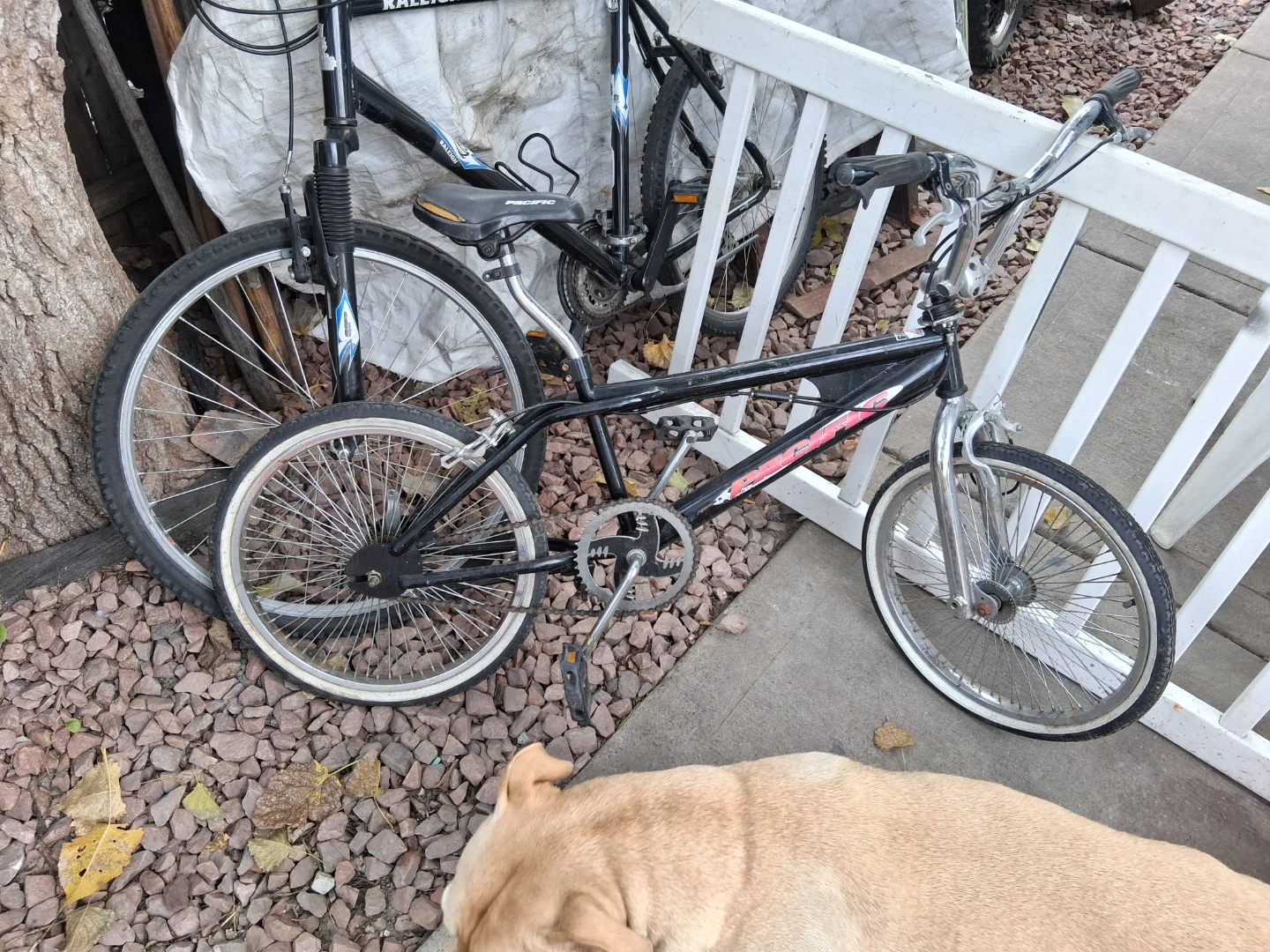 Pacific BMX Bike aftermarket 100 spoke whitewalls