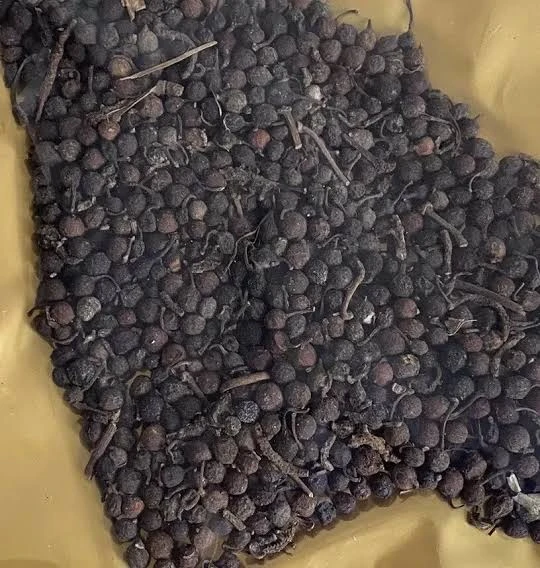 Uziza seed