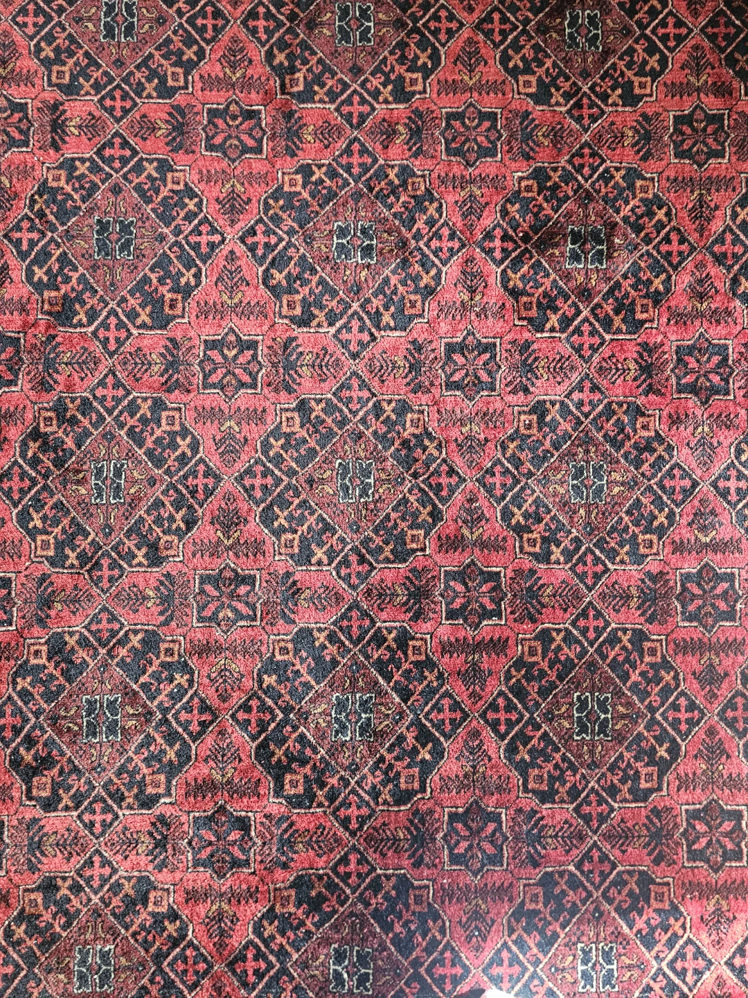 Authentic Hand-Knotted Persian Tribal Wool Rug - 6.6' x 9.7' - photo 4