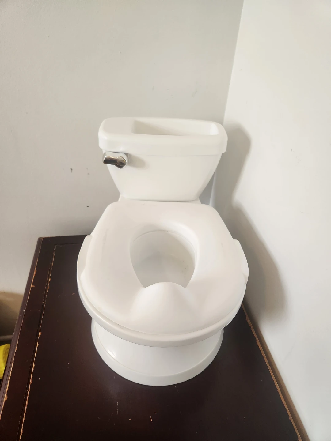 Summer Infant My Size Potty
