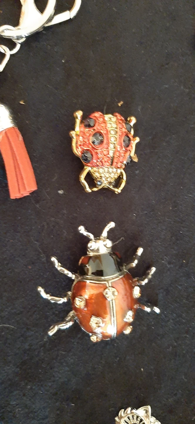 Cute Ladybug brooches. and keychain - photo 3