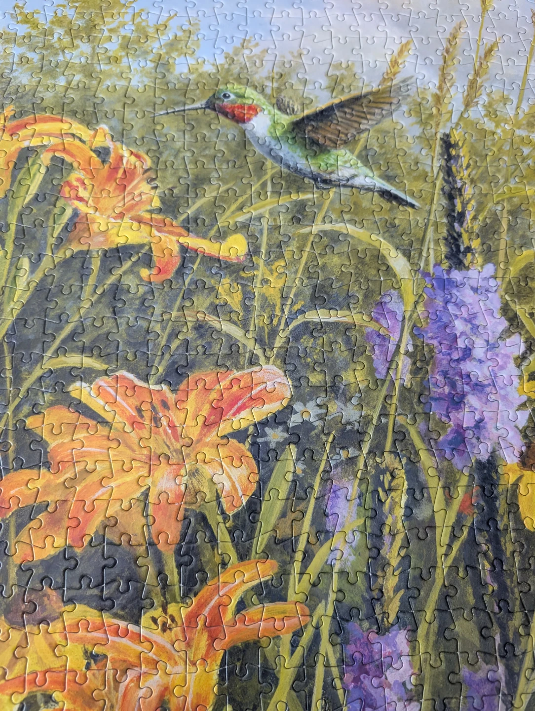 In The Meadow 1000 Piece Jigsaw Puzzle 🧩 - photo 5