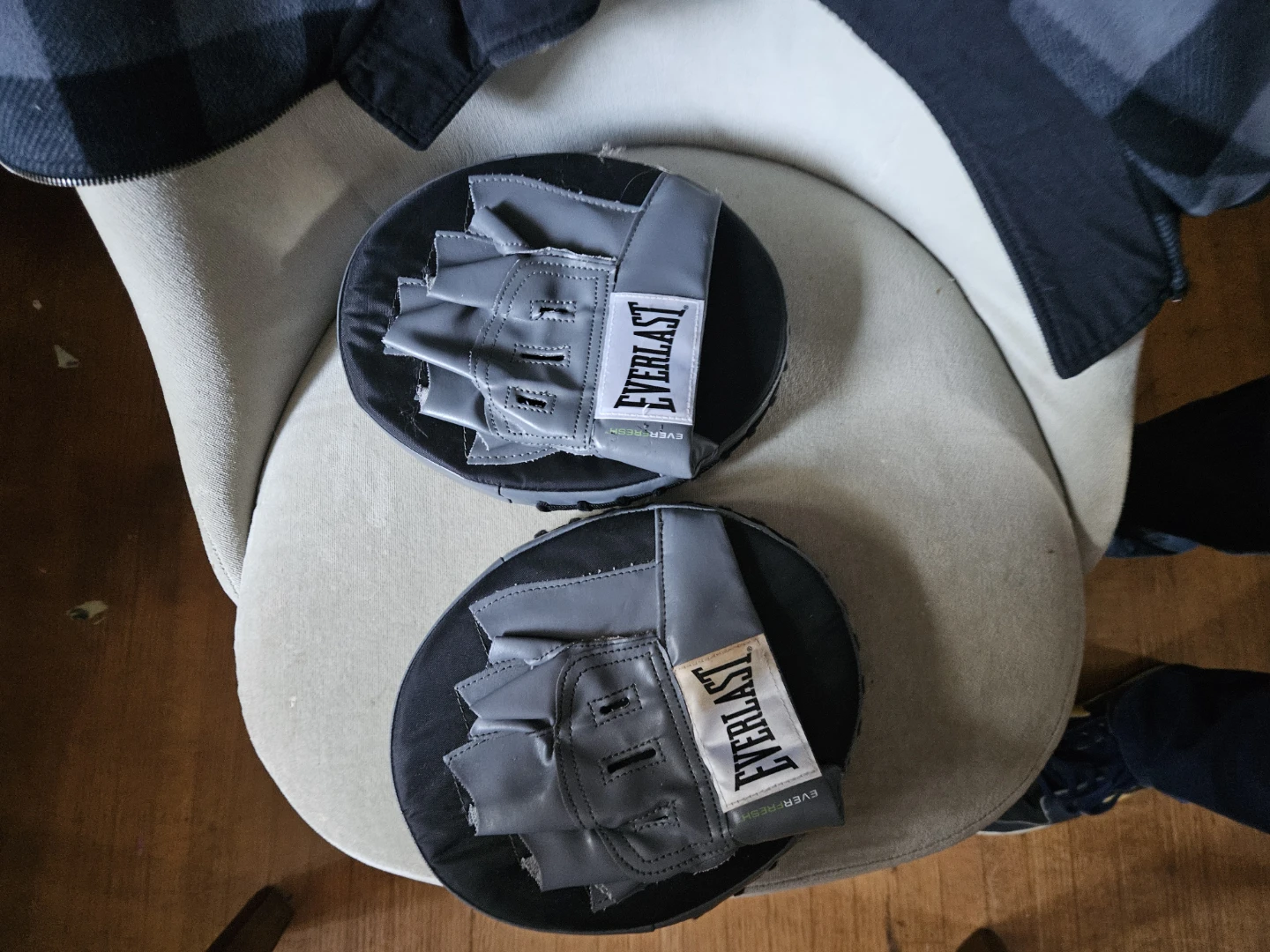 Everlast Focus Mitts - photo 2