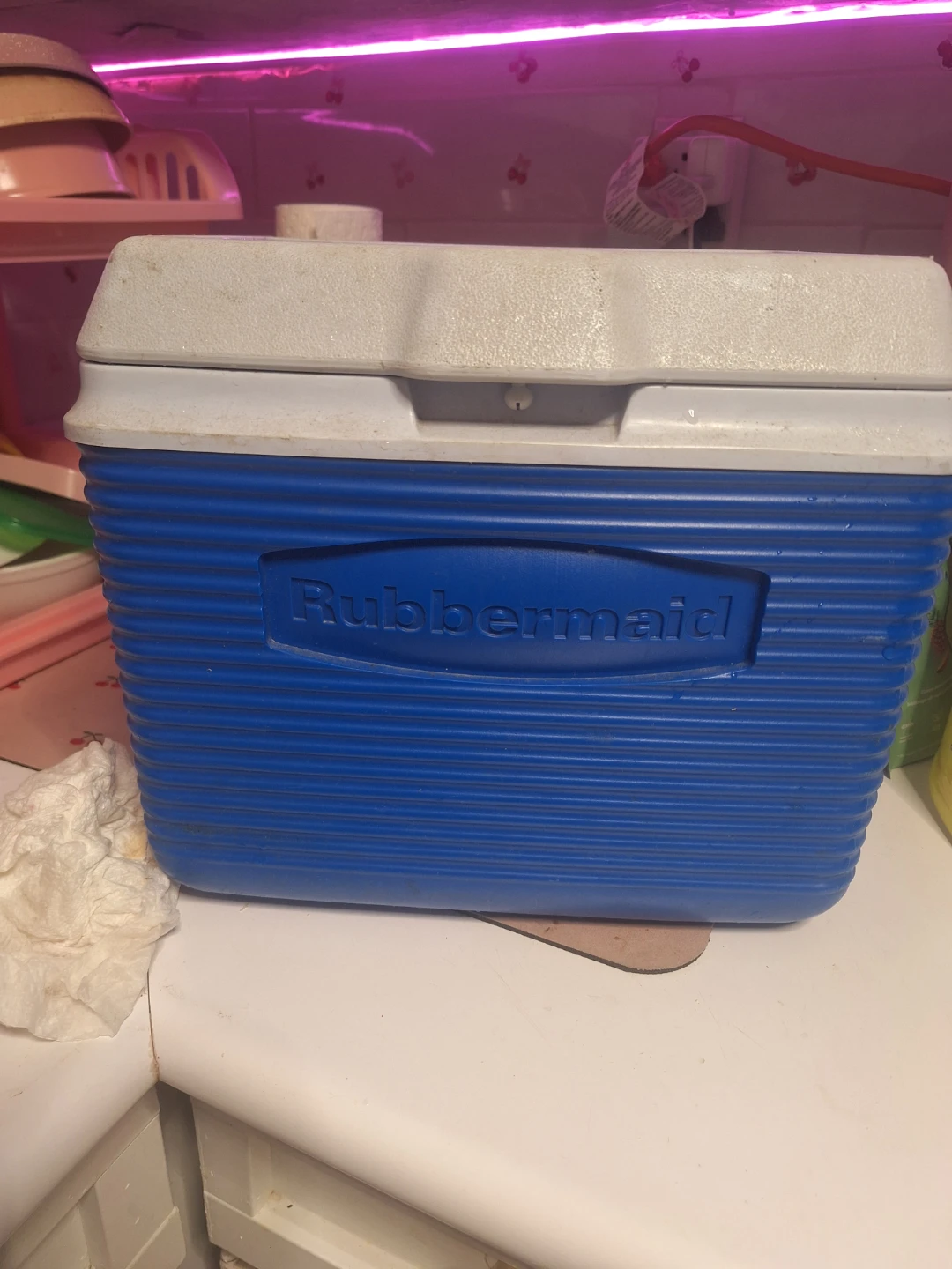 Rubbermaid Blue Cooler