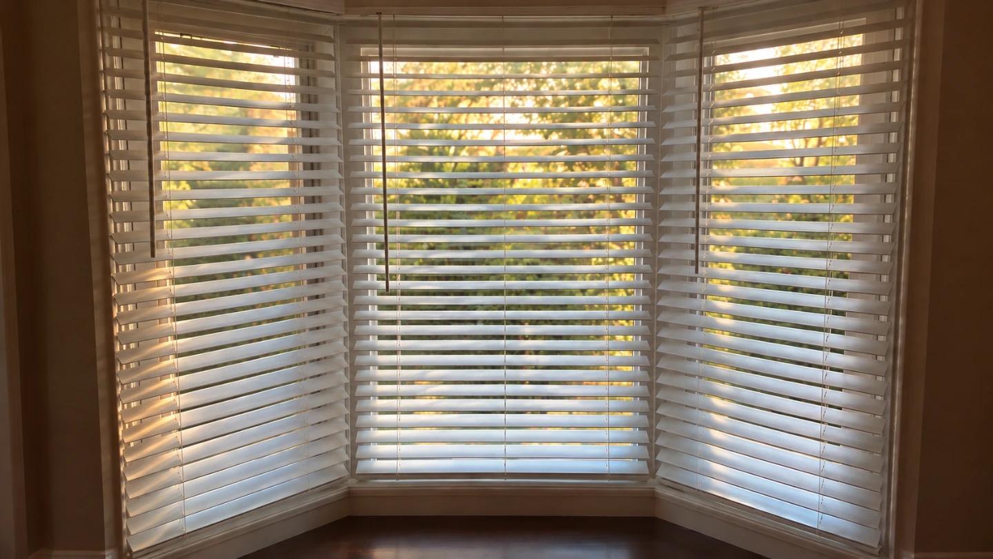 Zebra Blinds Set