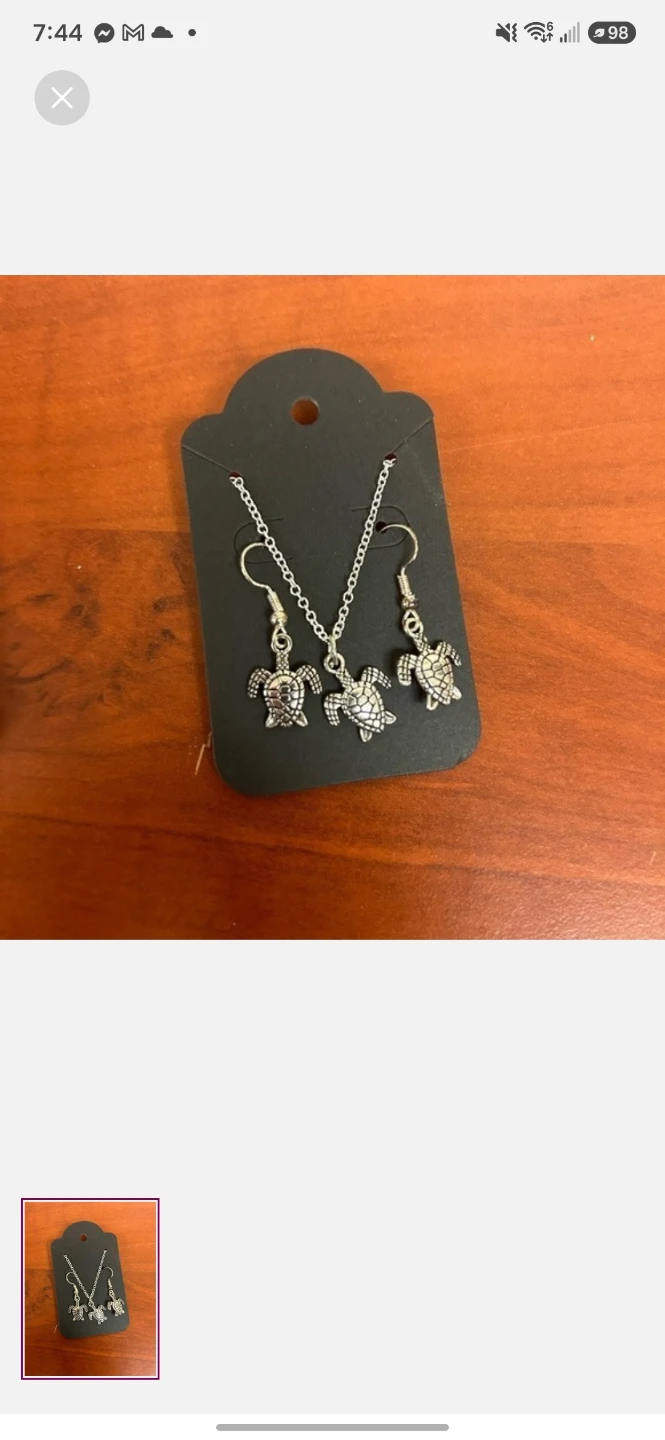 Silver-Tone Turtle Necklace and Earring Set