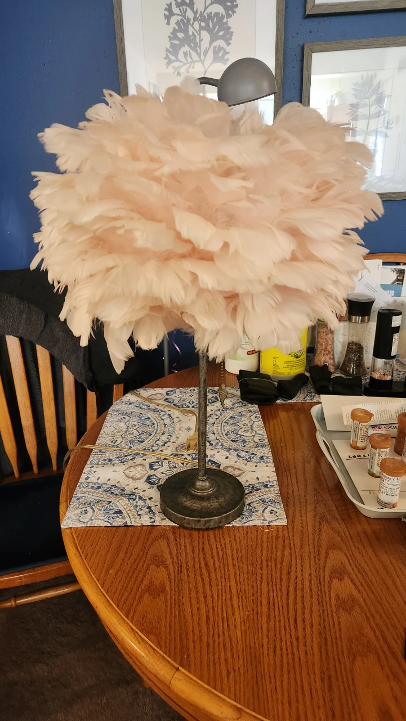 Feather Table Lamp with Fish Pull Chain