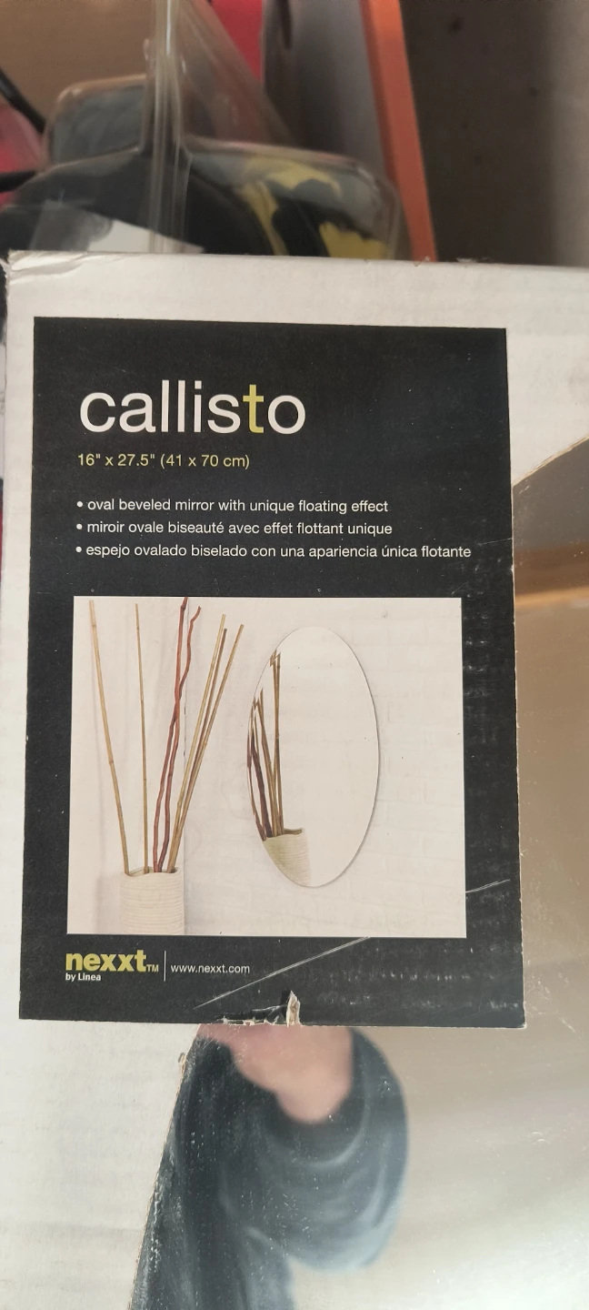 Nexxt Callisto Oval Beveled Wall Mirror