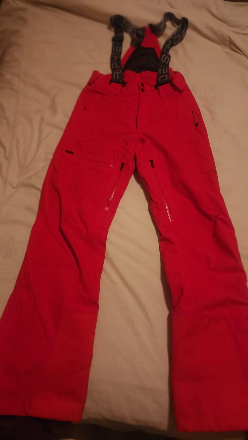 Spyder Gore-Tex Ski Bibs, Bright Red - photo 4