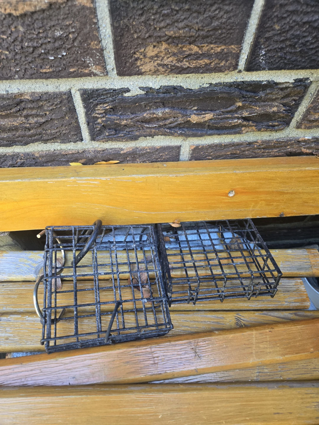 Assorted Bird Feeders and Suet Cages - photo 3