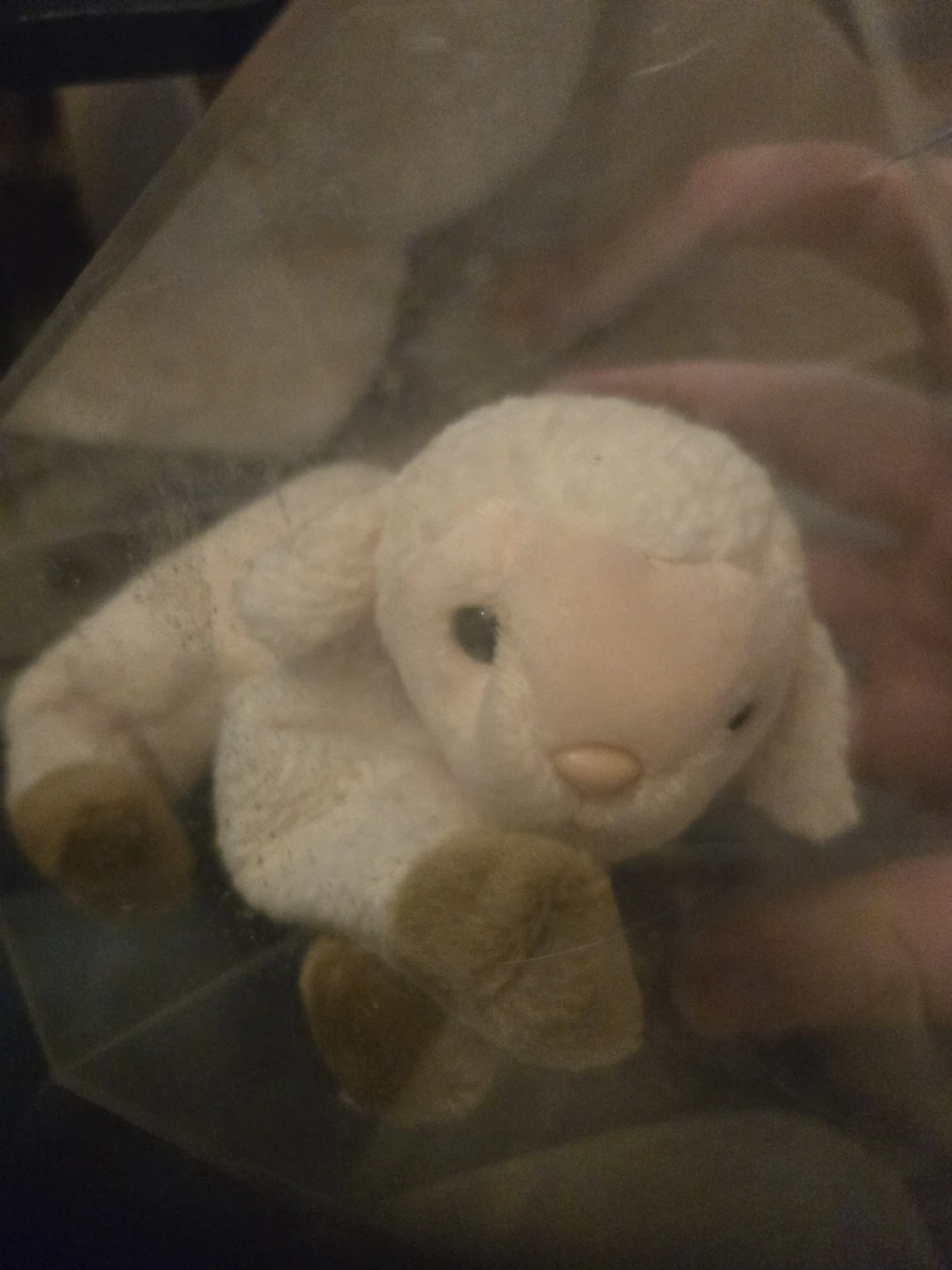 Ty Beanie Baby Lamb