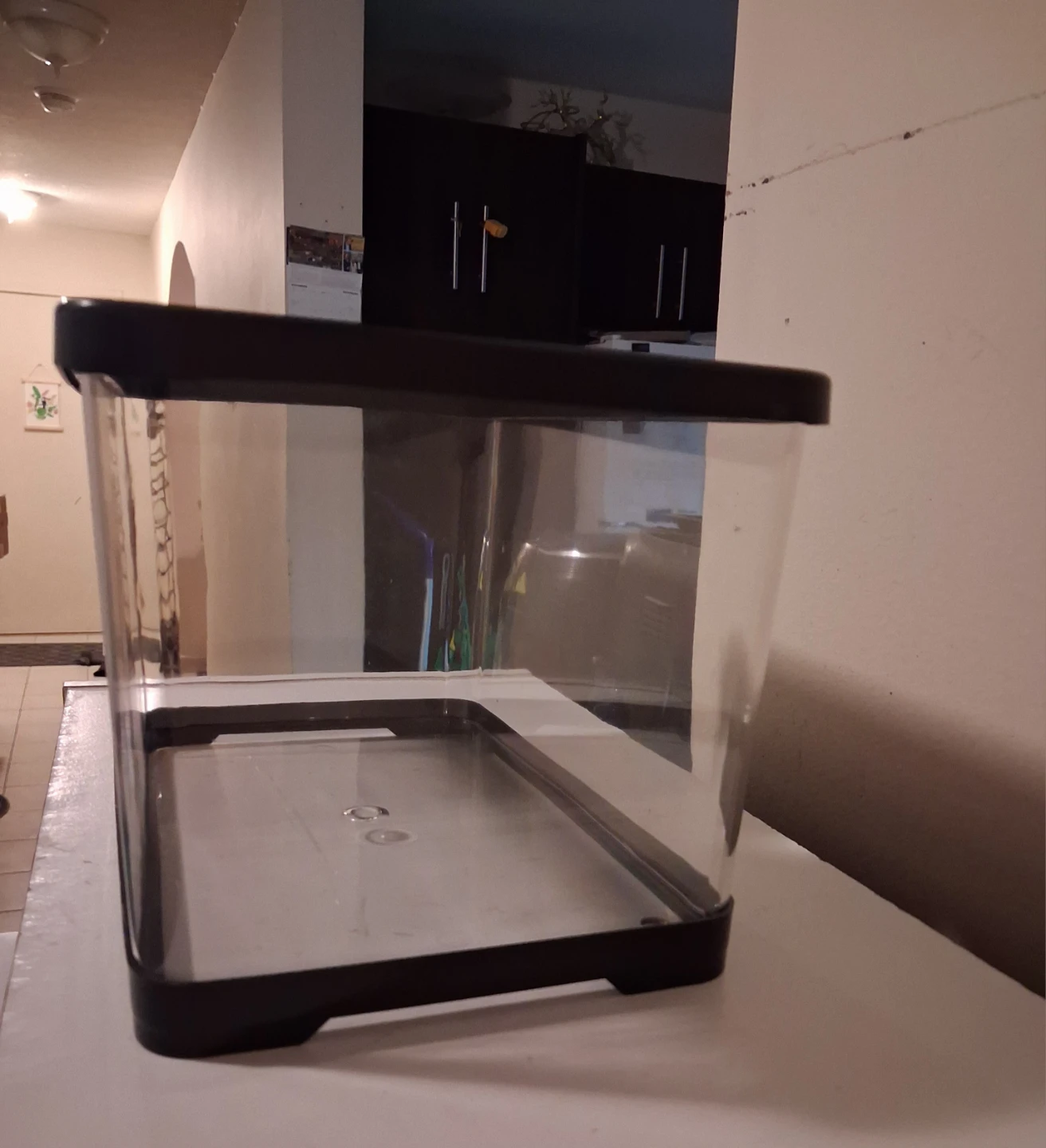 Desktop PC Fish Tank ( SHATTERPROOF) - photo 2