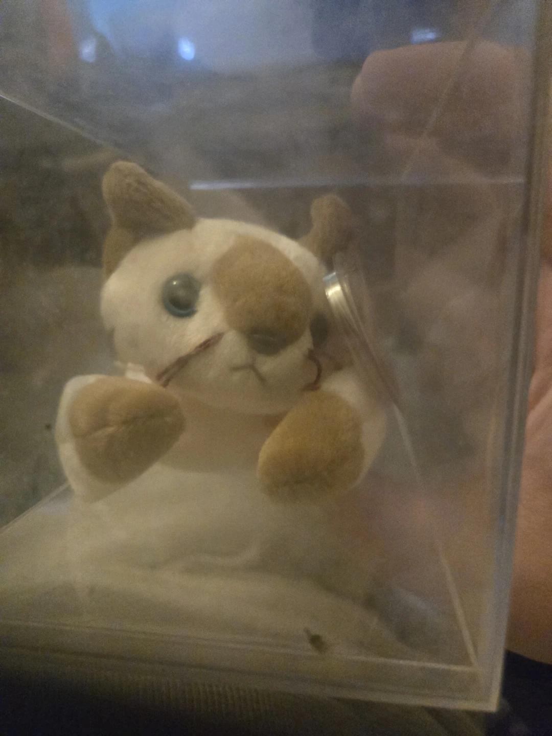 Ty Beanie Baby Snip the Cat