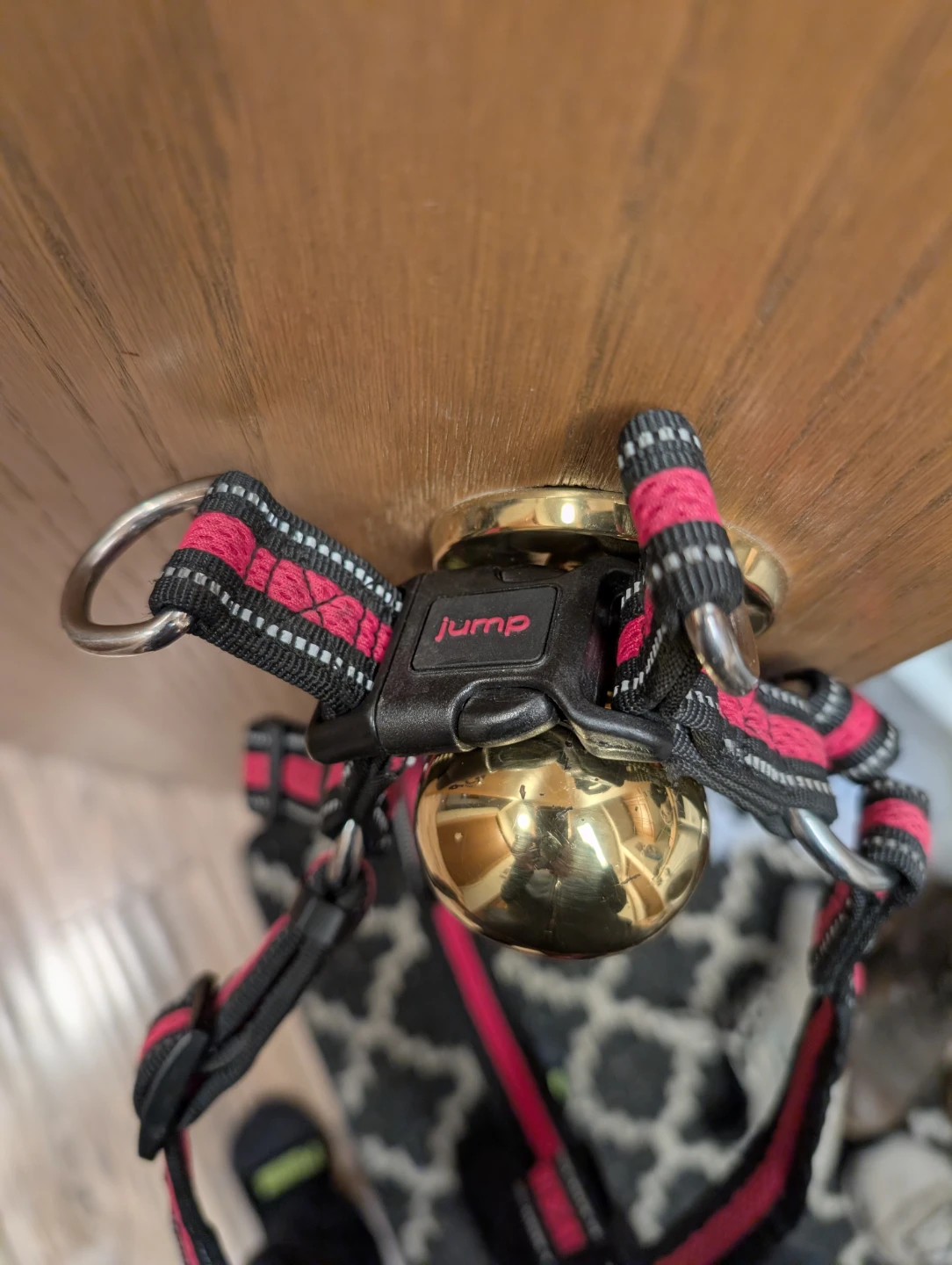 Jump Dog Harness - photo 3