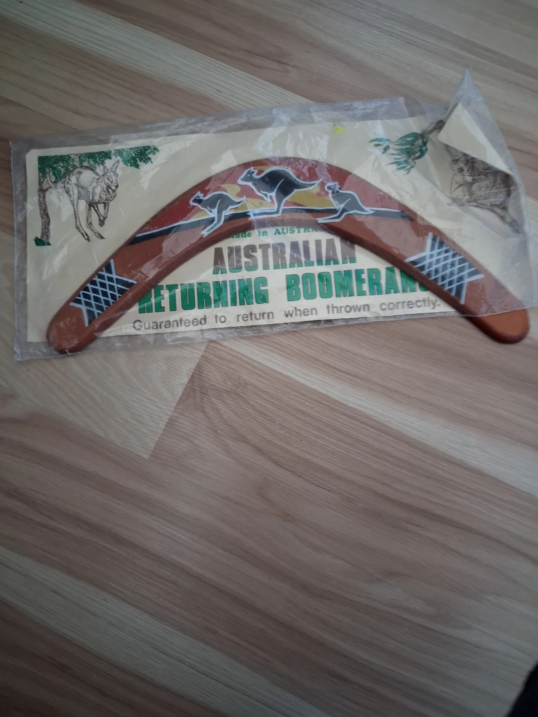 Australian Returning Boomerang