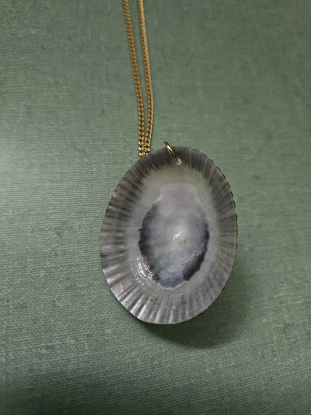 NEW * Beautiful * SHELL PENDANT  * and CHAIN * - photo 3