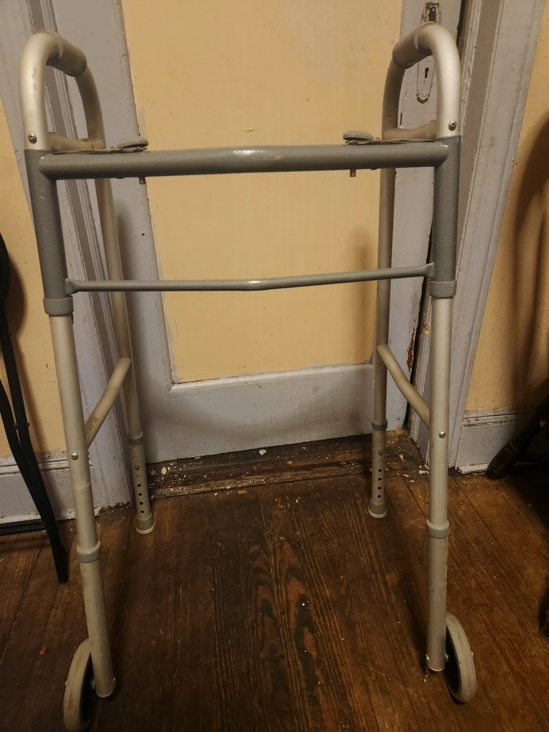 Guardian Medical Mobility Walker