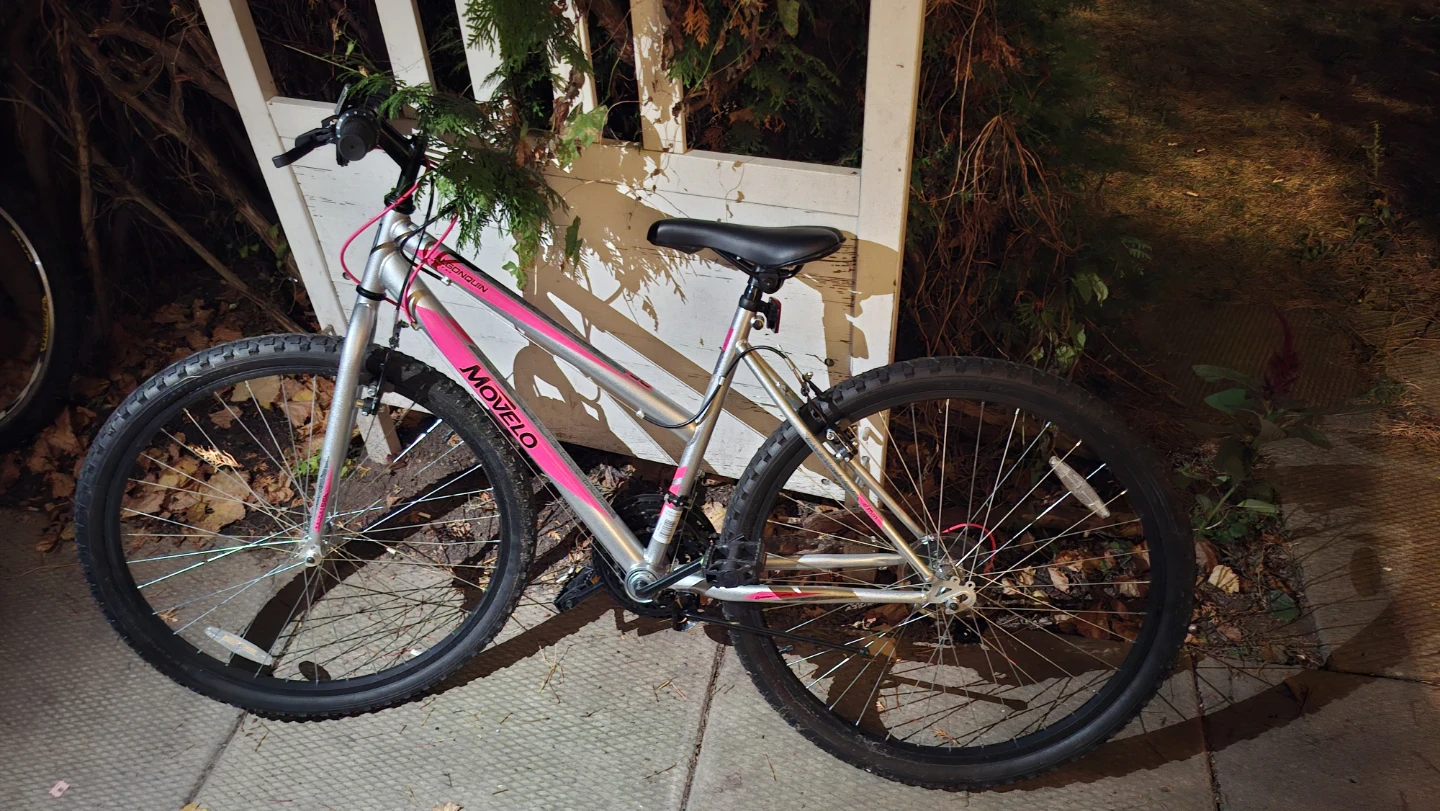 Movelo Algonquin Mountain Bike