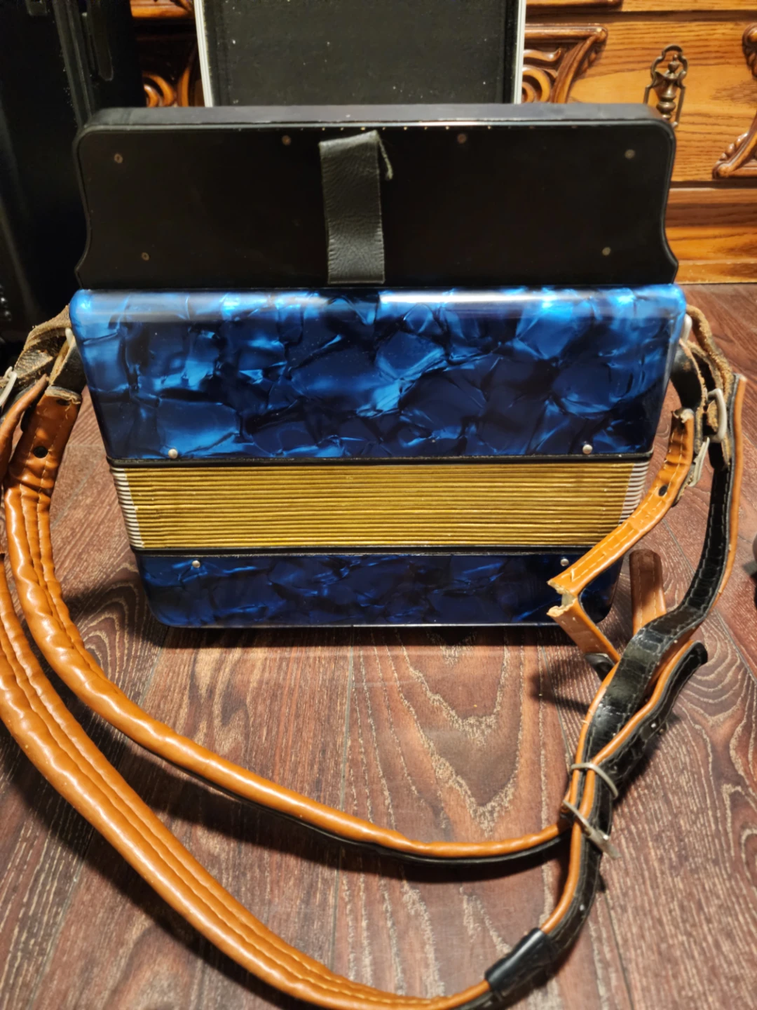 Parrot Accordion with Carrying Case - photo 3