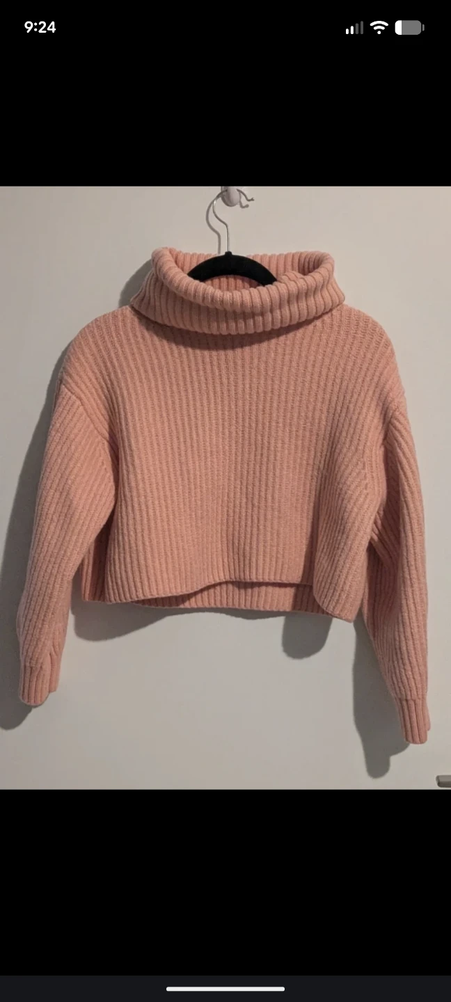 Babaton Guell Merino Wool Turtleneck Sweater