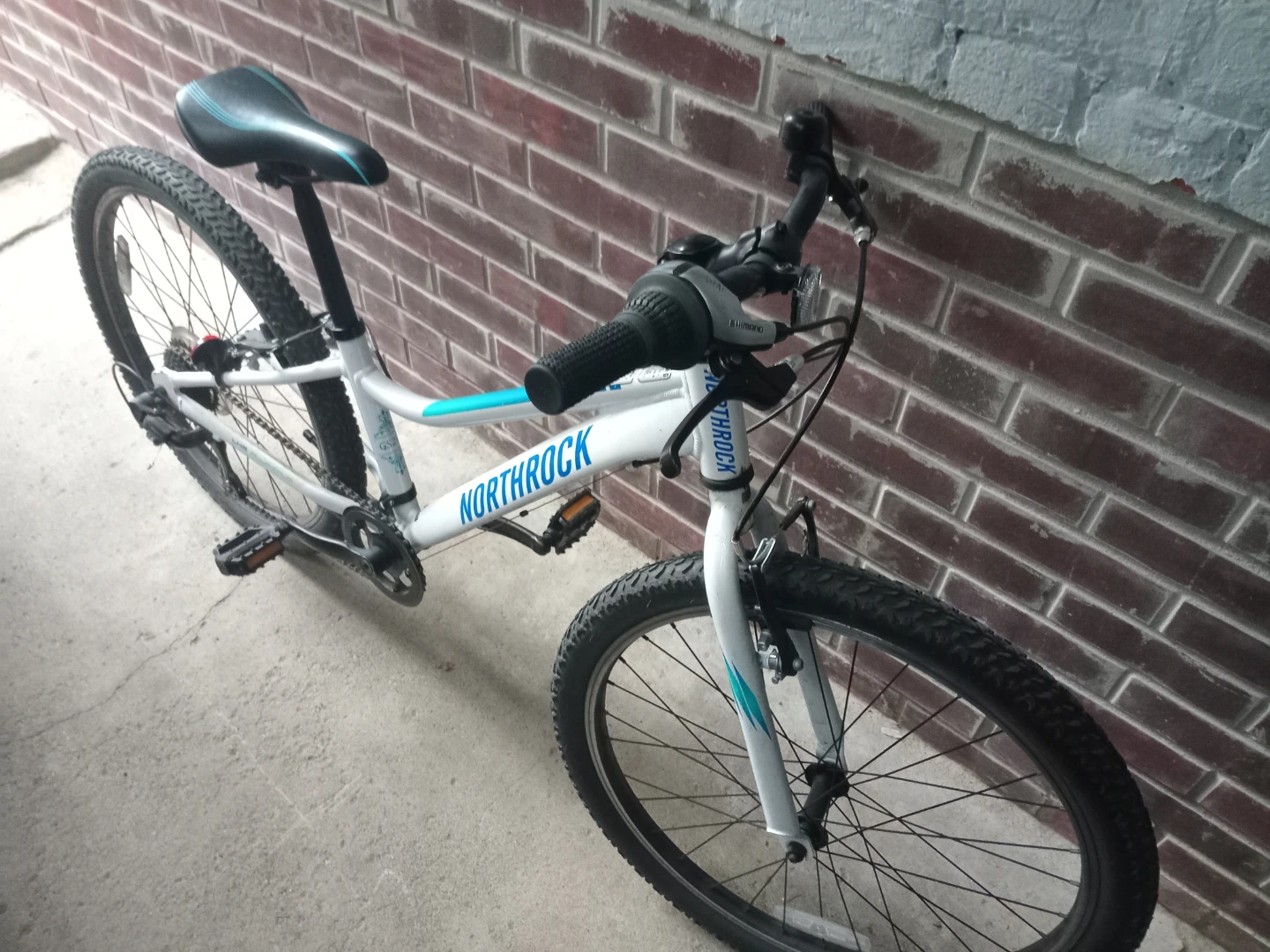 24 inch Northrock Mountain Bike