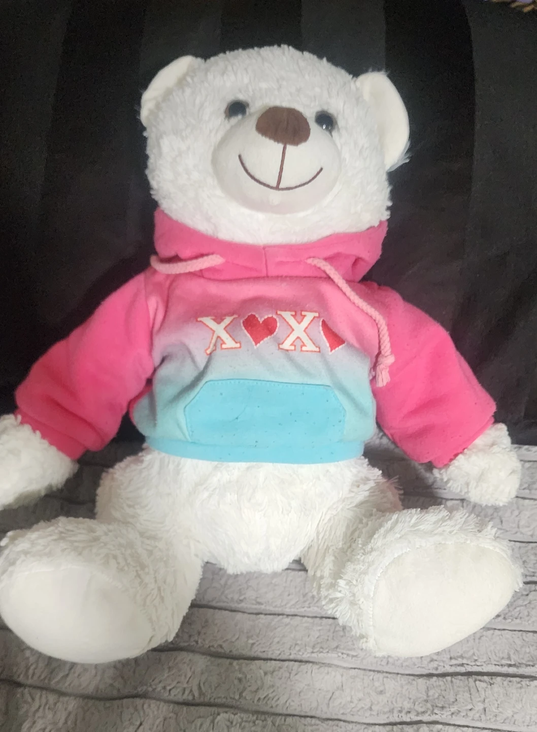White Plush Teddy Bear in Pink Hoodie