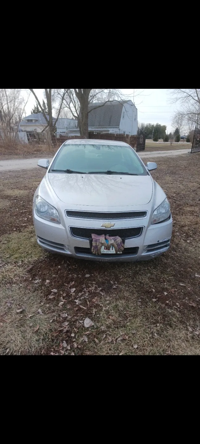 2009 Chevrolet Malibu Sedan - photo 4