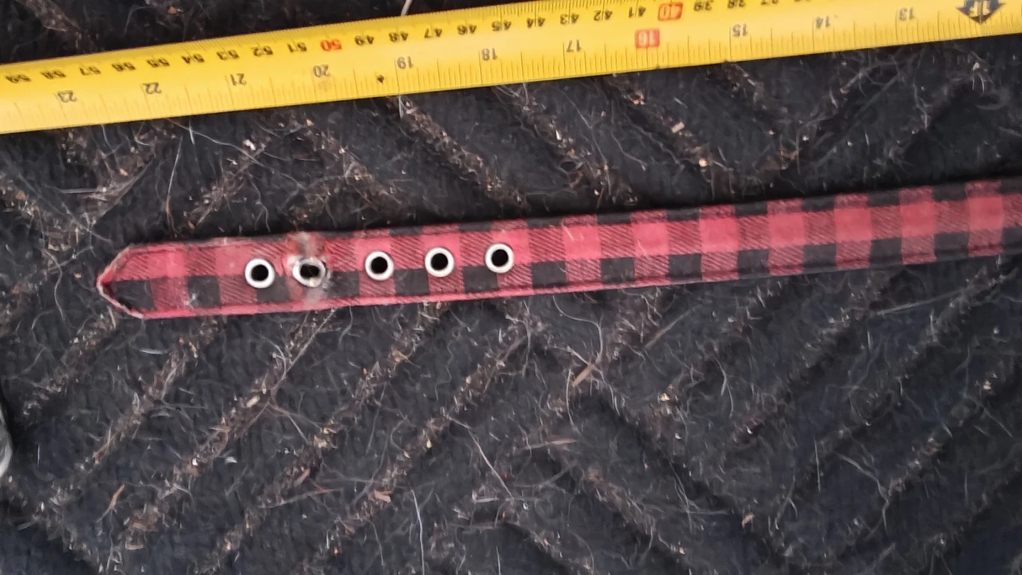 Various dog collars - photo 2