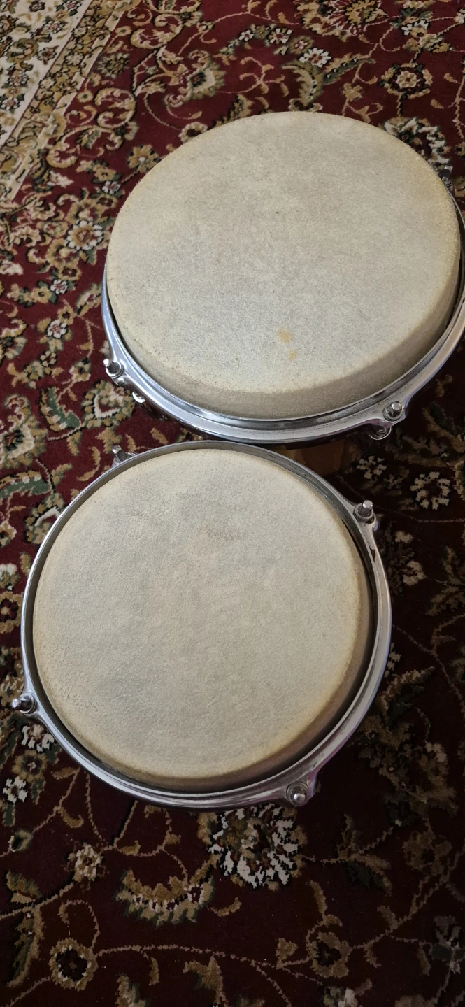 CB Kaman Bongo Drums - photo 3