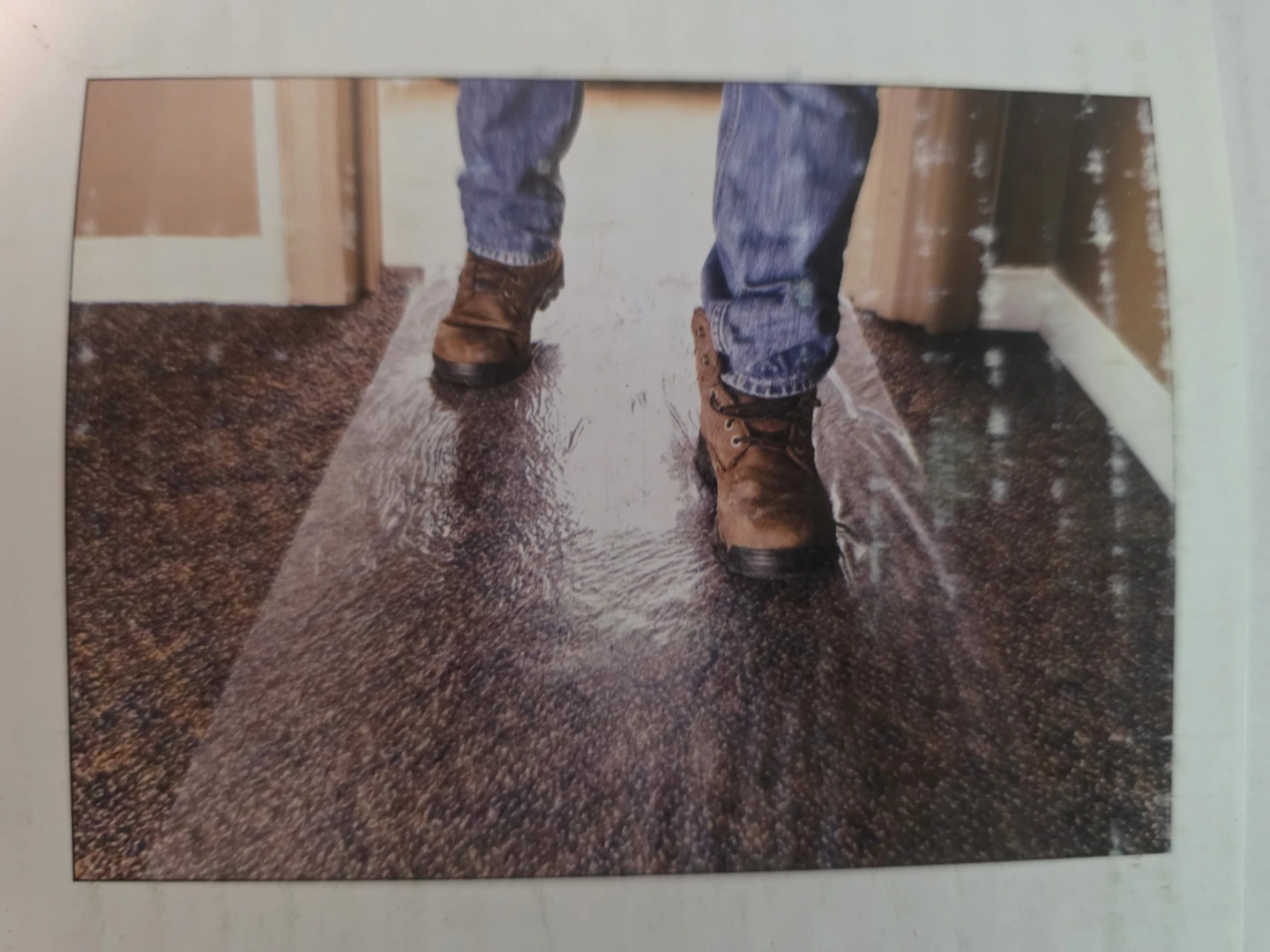 Pearlgreen Corporation Carpet Protection Film - photo 2
