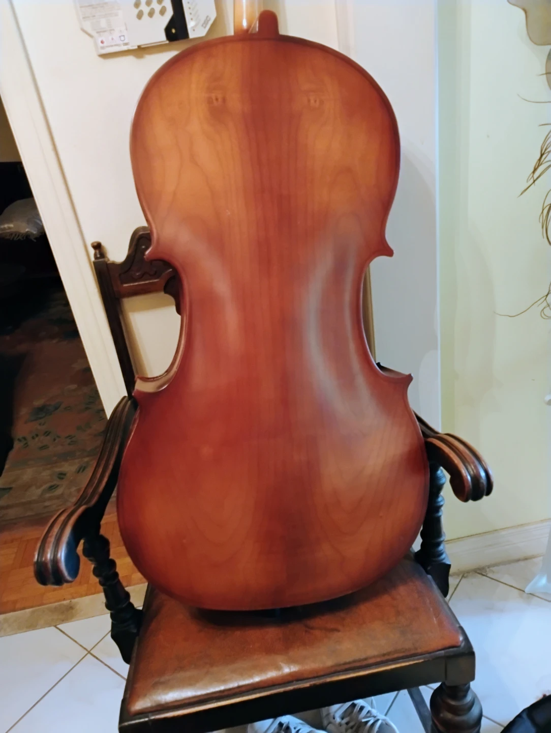 Vintage musical instruments - photo 4