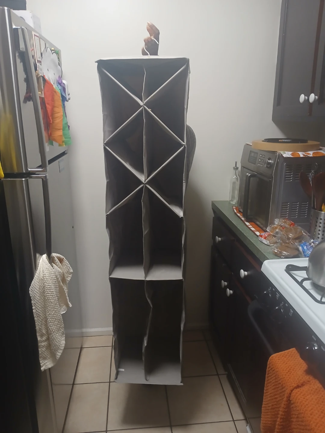 Hanging Closet Organizer