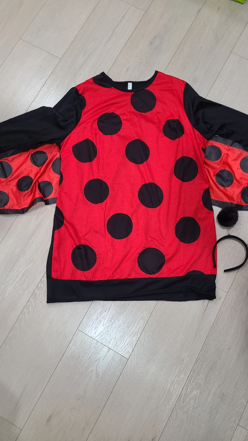 Love Bug Ladbug Costume Size 18-20 - photo 2