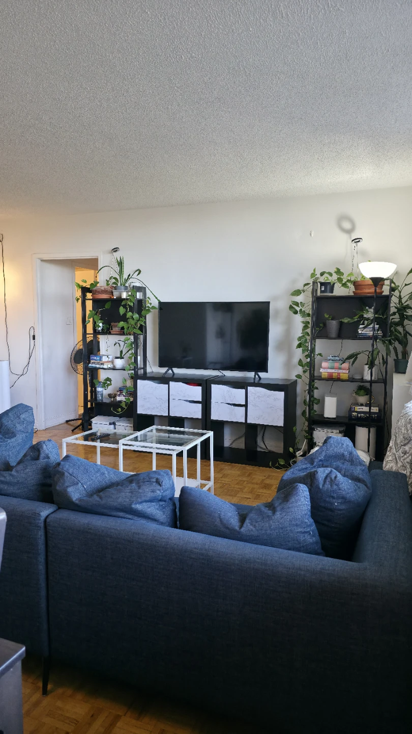 Private room in a 2 bed 1 bath apartment - photo 4