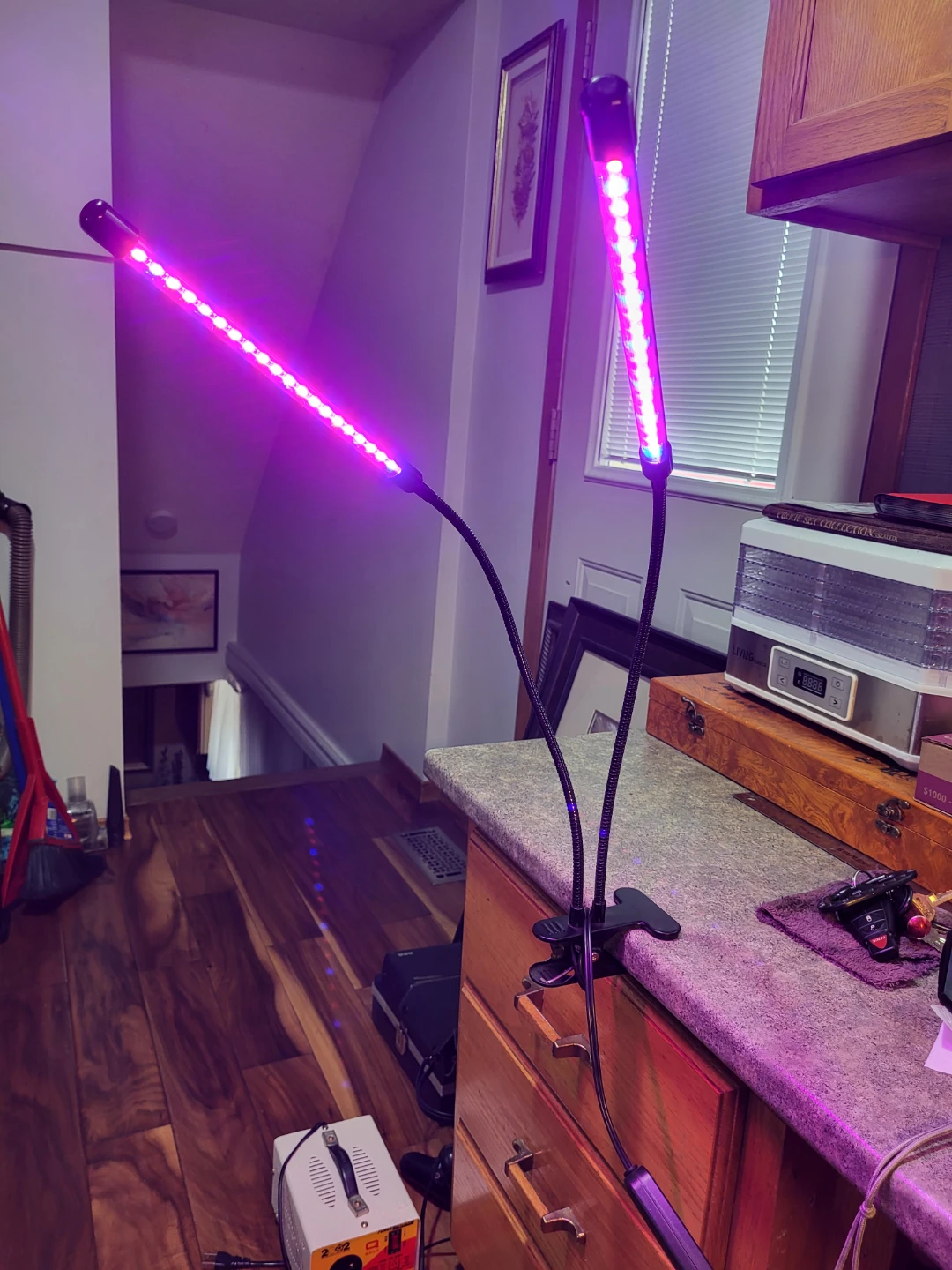 Dual Head LED Grow Light with Clip
