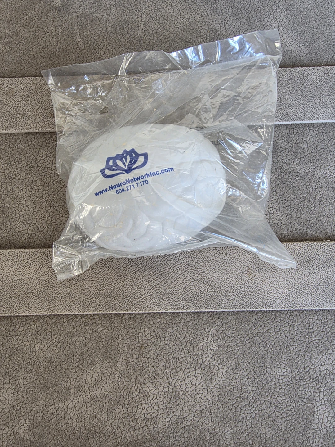 NeuroNetwork Inc. white foam brain model