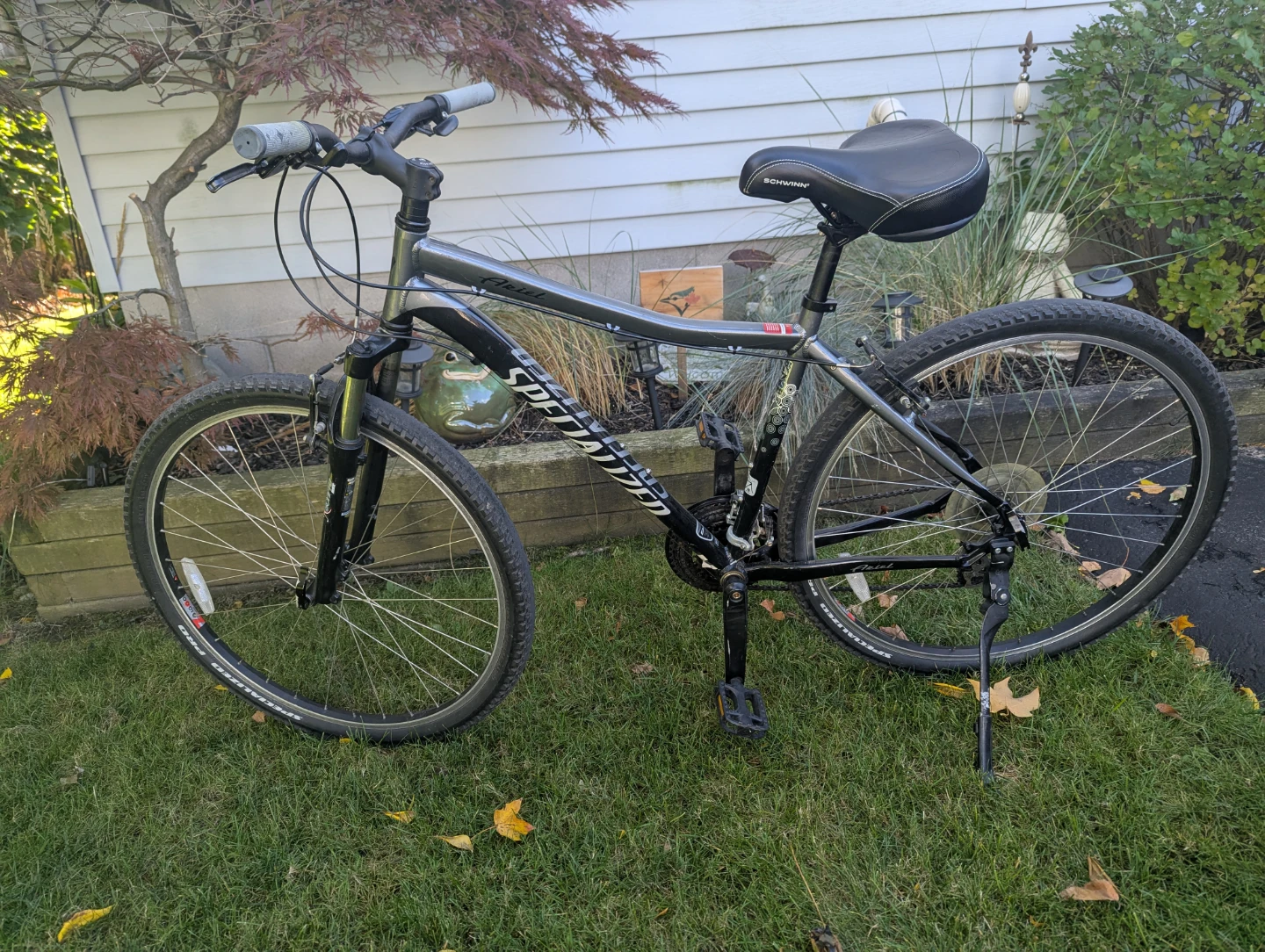 Bike. Specialized L frame.