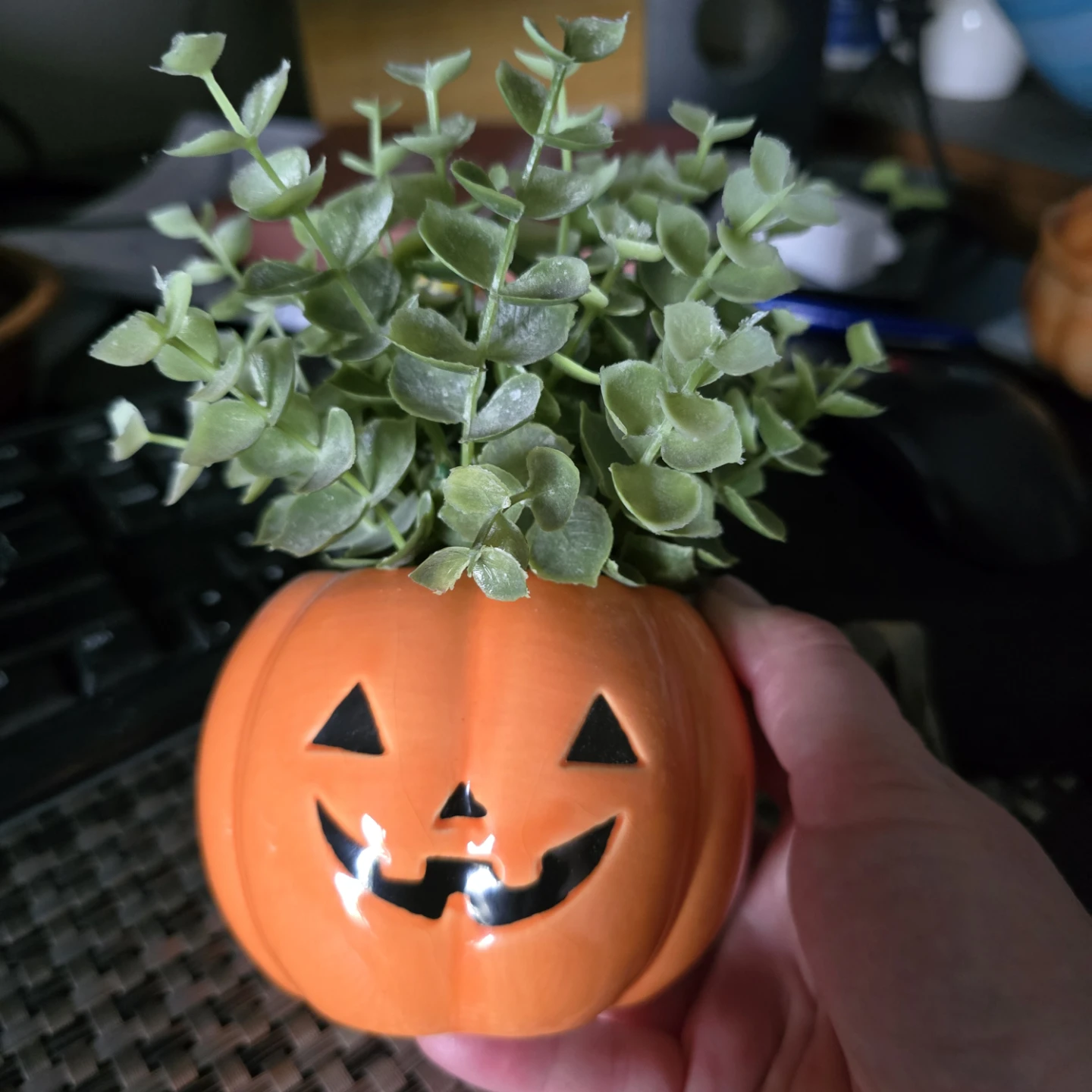 Ceramic Pumpkin Succulent Decor