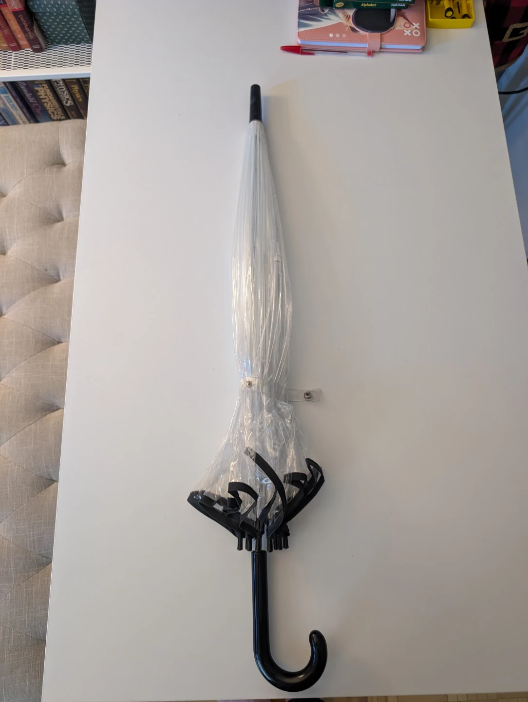 Clear Dome Umbrella with Black Trim