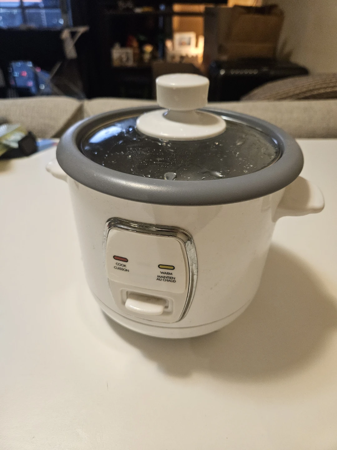 White Rice Cooker