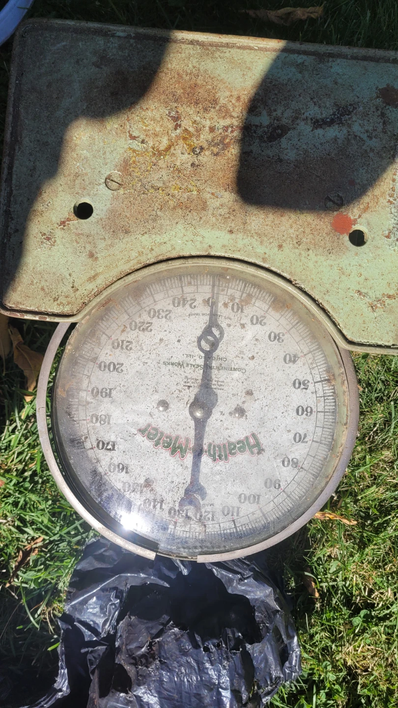 Antique scale
